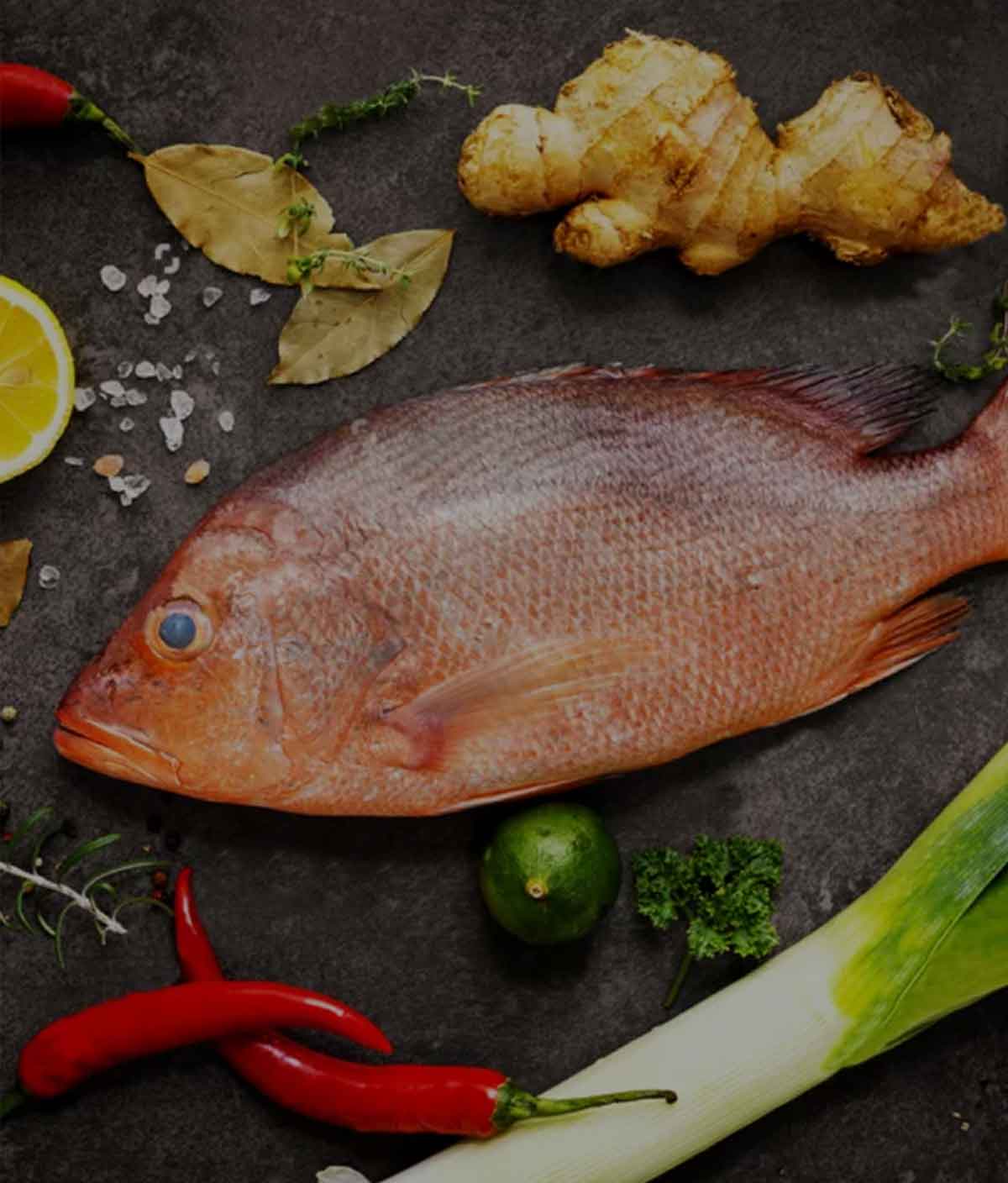 Oktopurs Online How To Buy Fresh Fish